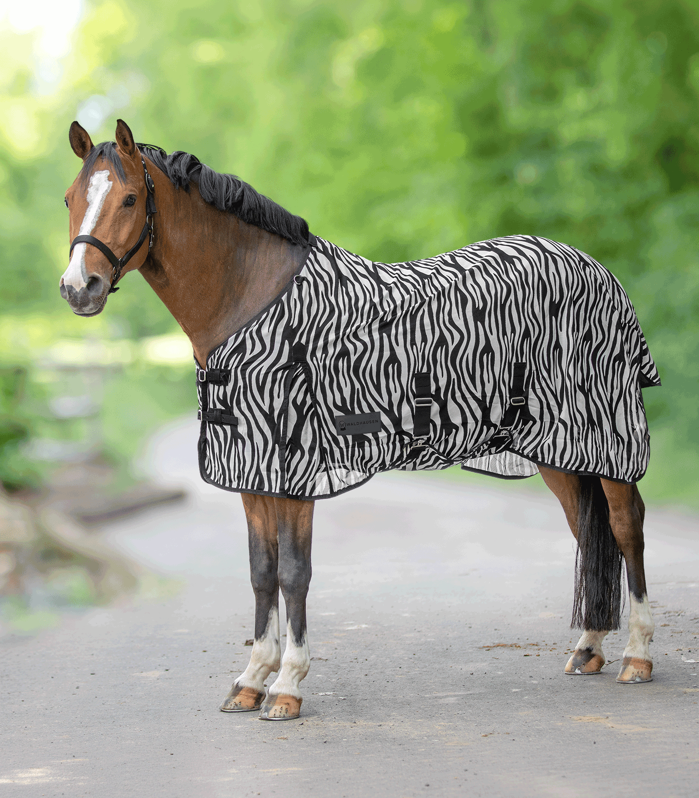 COPERTA ANTIMOSCHE ZEBRA