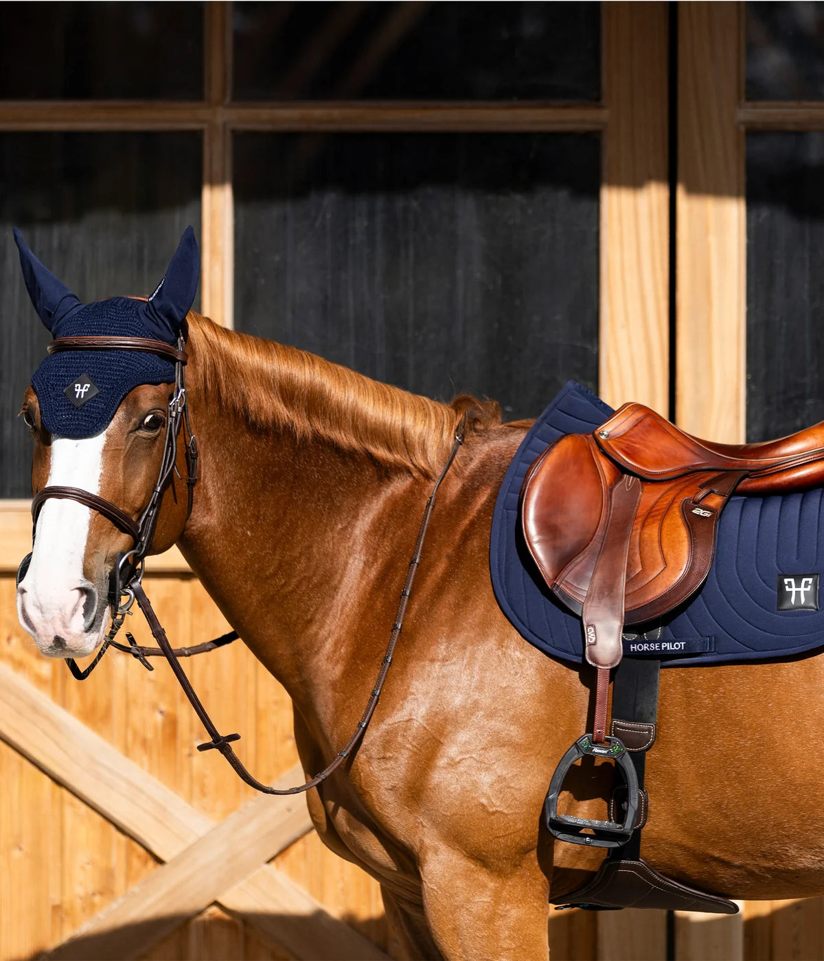 Horse Pilot Earnets Green Morocco