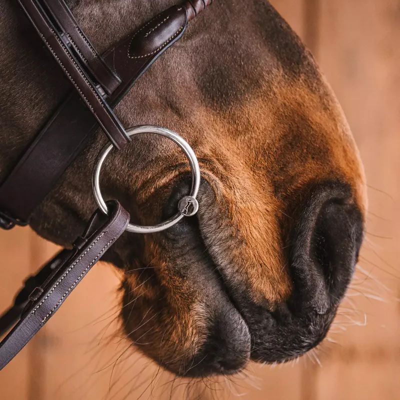 Mors Rune à anneaux libre