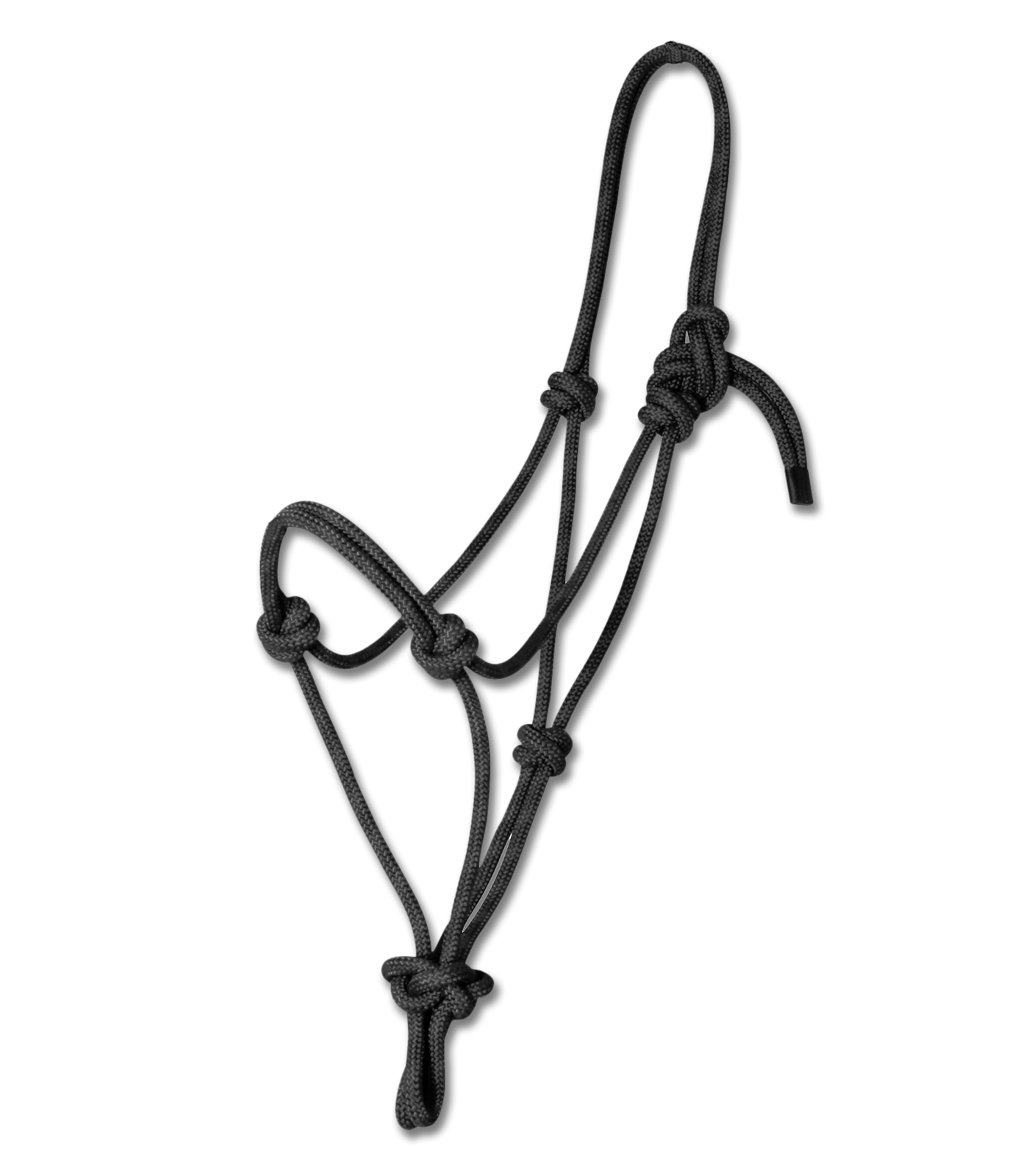 Licol Ethologique Waldhausen 10,95 €