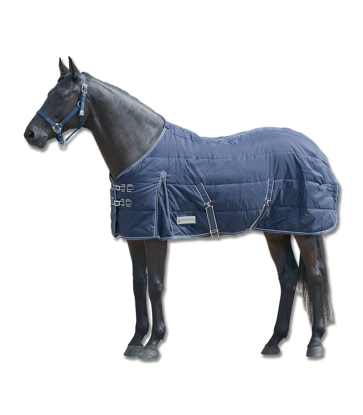 COUVERTURE D´ÉCURIE ECONOMIC, 200 G Waldhausen 69,95 €