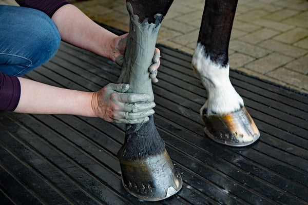 KEVIN BACON'S ARGILE DE MANICOUAGAN 2Kg Kevin Bacon's 28,00 €