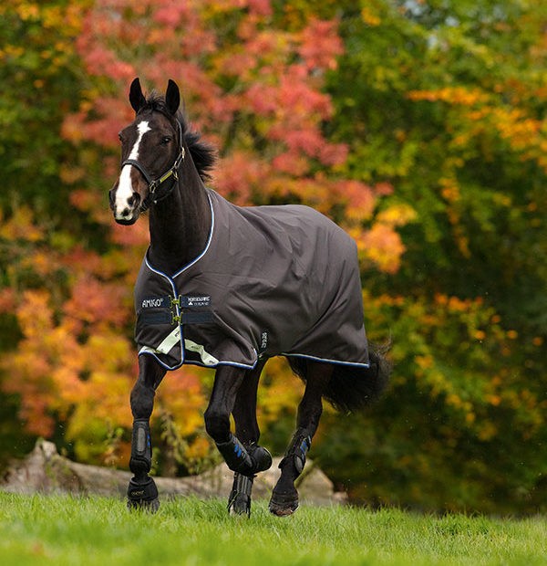 Amigo Bravo 12 Original Turnout 250 gr Horseware Horseware 176,95 €