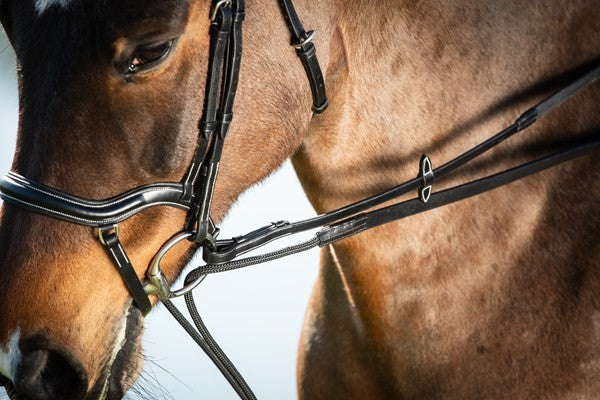 RENES ALLEMANDES CUIR + CORDE HFI HFI 36,00 €