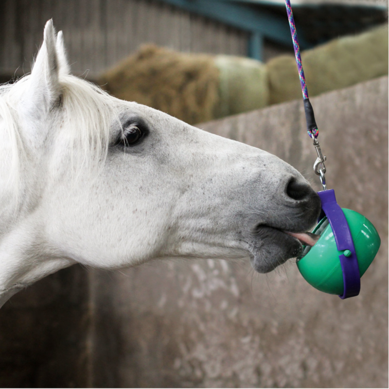 Boredom Buster Likit Mauve Likit 34,95 €