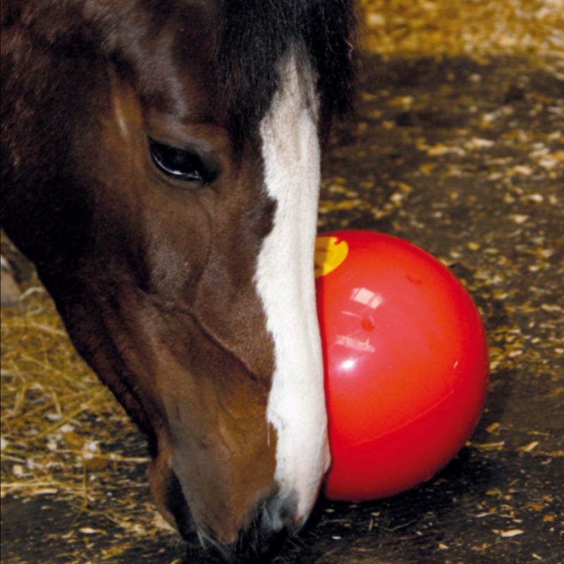 Snak-a-Ball Likit Likit 49,95 €