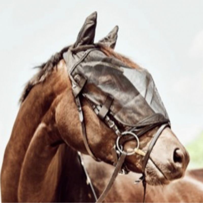 Masque anti-mouches pour bridon HorseGuard 17,95 €