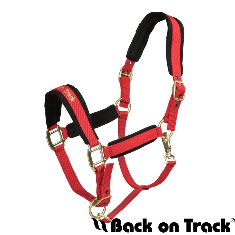 Licol Werano - Rouge Back On Track 37,90 €