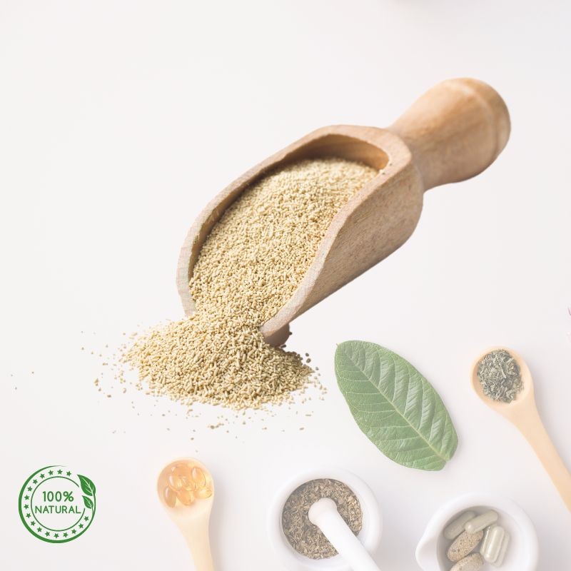 Levure de bière Horse Remedy 14,00 €