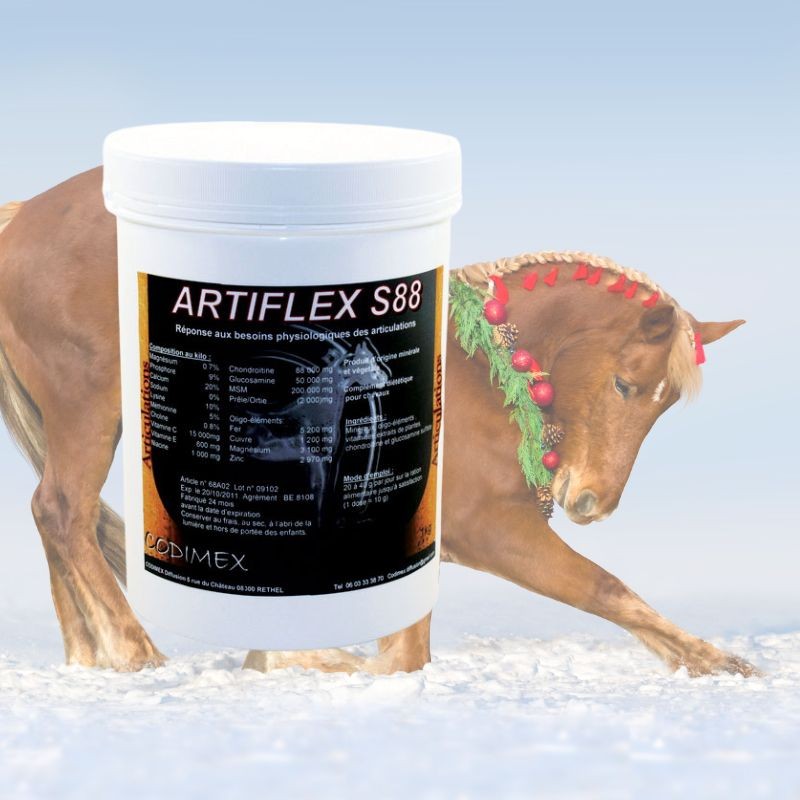 Artiflex S88 Codimex 121,00 €