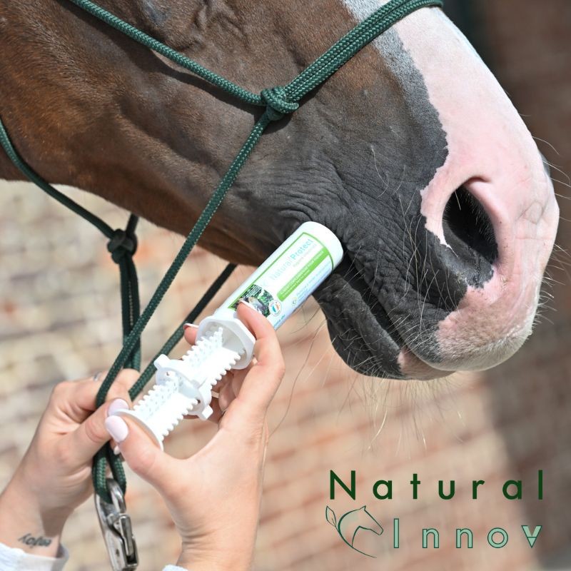 Natural’Protect Natural'Innov 24,00 €