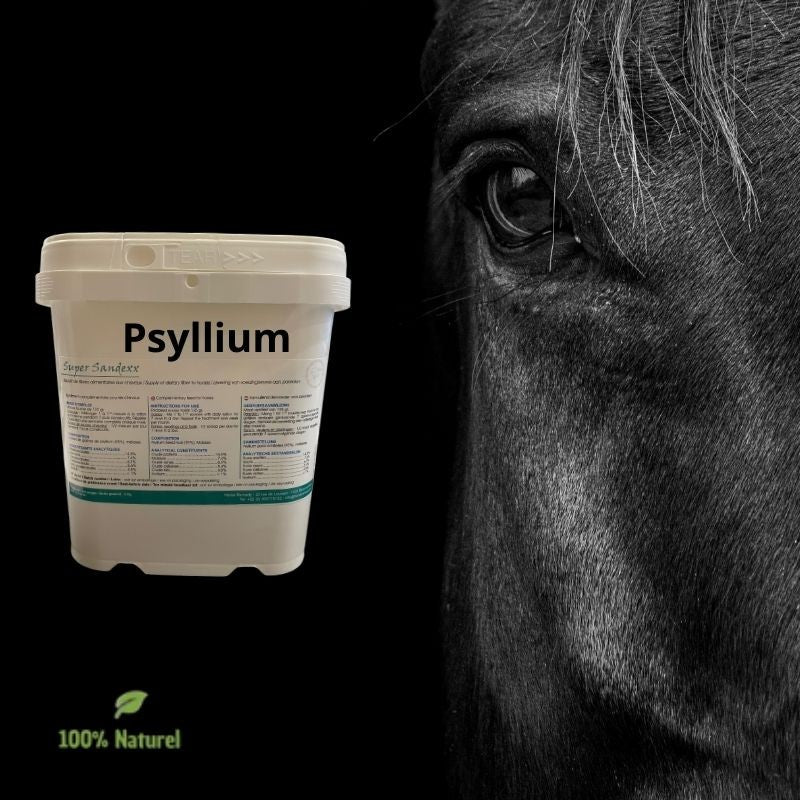 Super Sandexx - Psyllium Horse Remedy 60,00 €