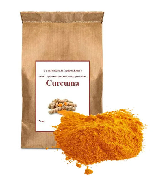 Curcuma