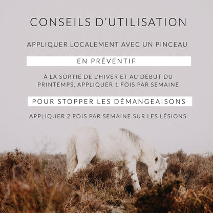 Soin de la Dermite • Huile de Cade