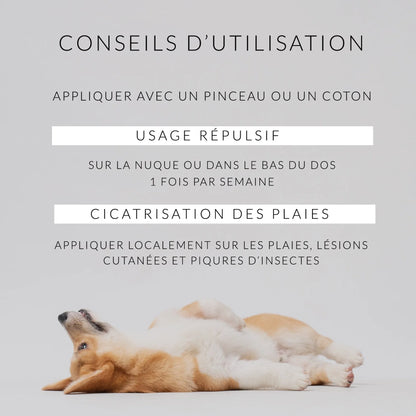 Cura del cane • Olio di Cade