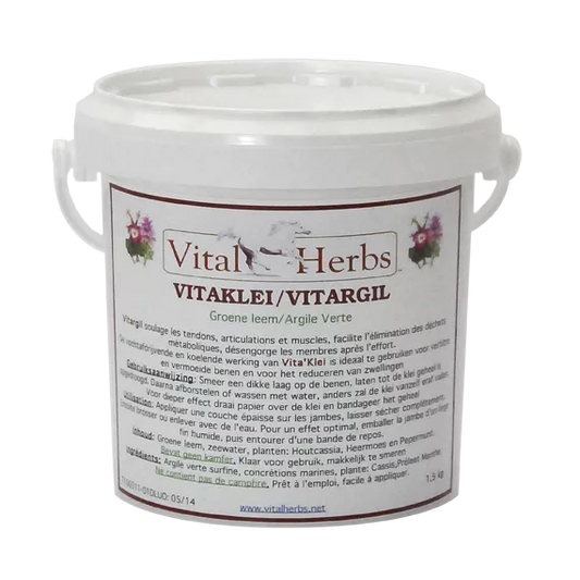 Vitargil Argile Verte