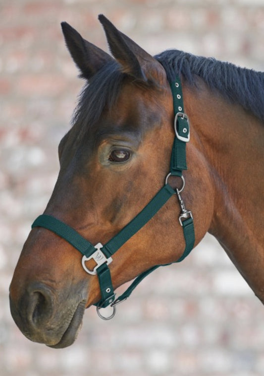 Waldhausen LICOL GLOOMY Waldhausen  10,95 €