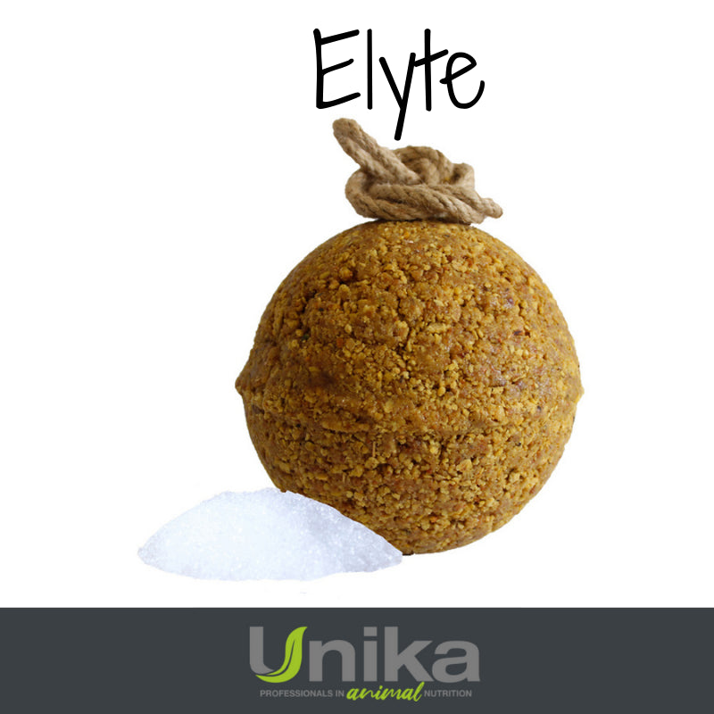 Unika Balls Elyte Unika Balls  34,00 €