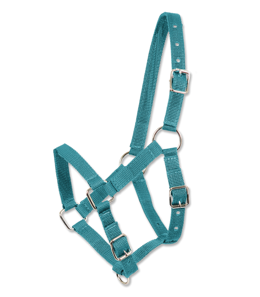 Licol pour Poulain First Step Waldhausen  4,95 €