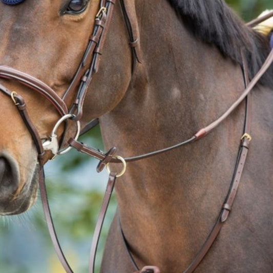 Running Martingale   35,20 €