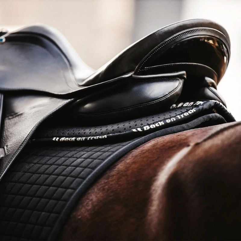 Amortisseur Aurora Back On Track  124,00 €