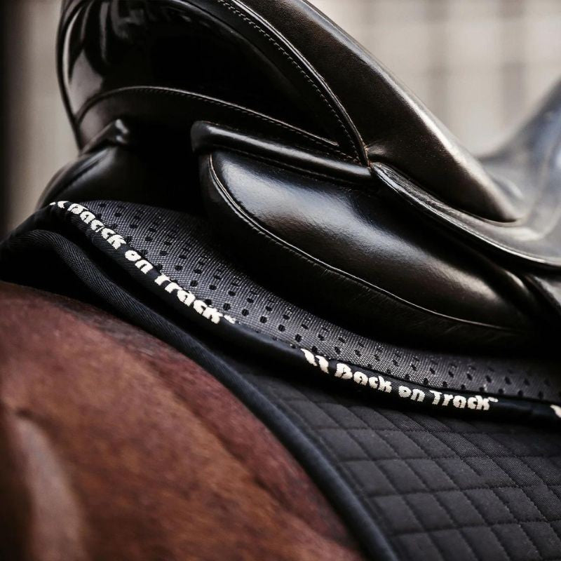 Amortisseur Aurora Back On Track  124,00 €