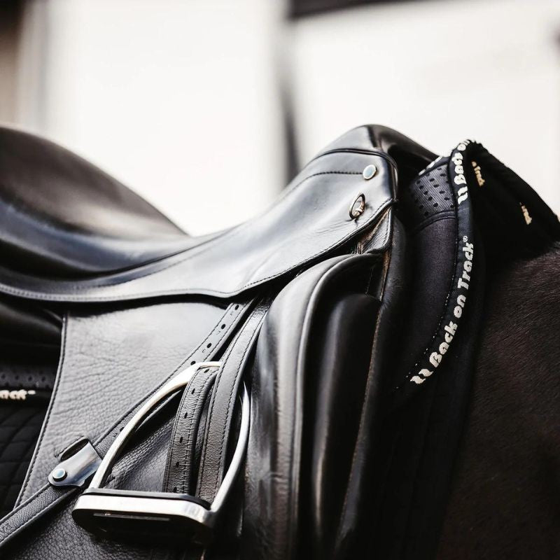 Amortisseur Aurora Back On Track  124,00 €