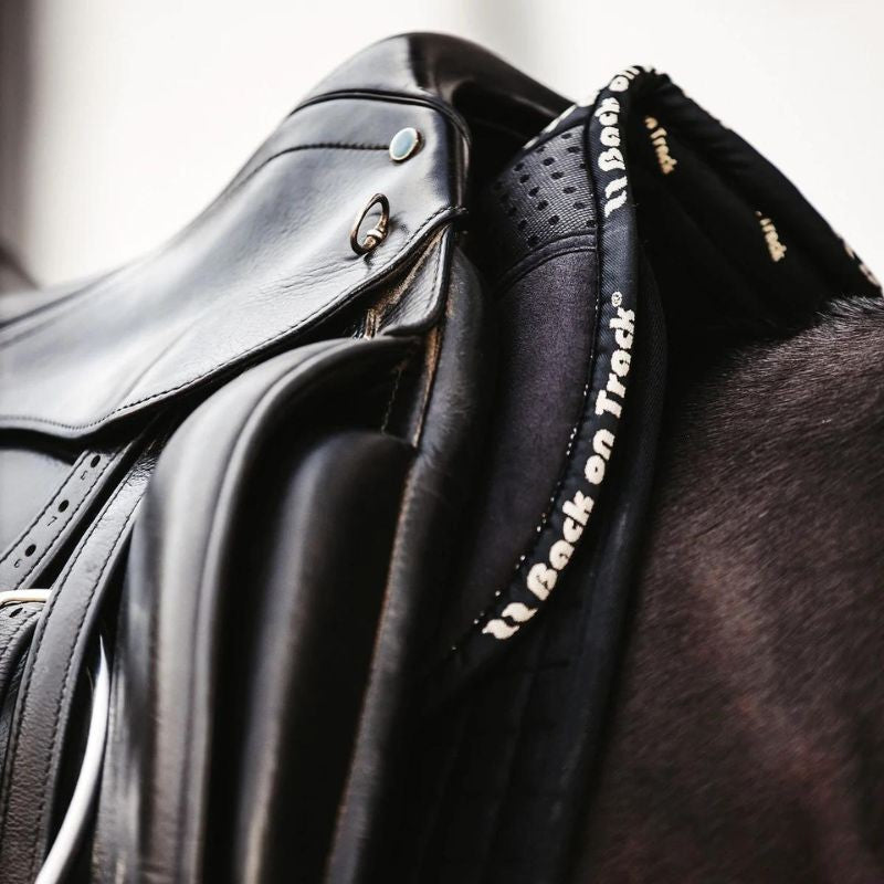 Amortisseur Aurora Back On Track  124,00 €