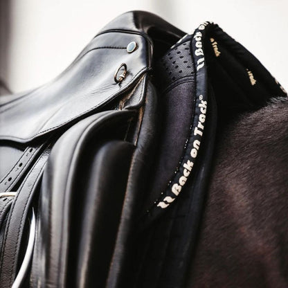 Amortisseur Aurora Back On Track  124,00 €