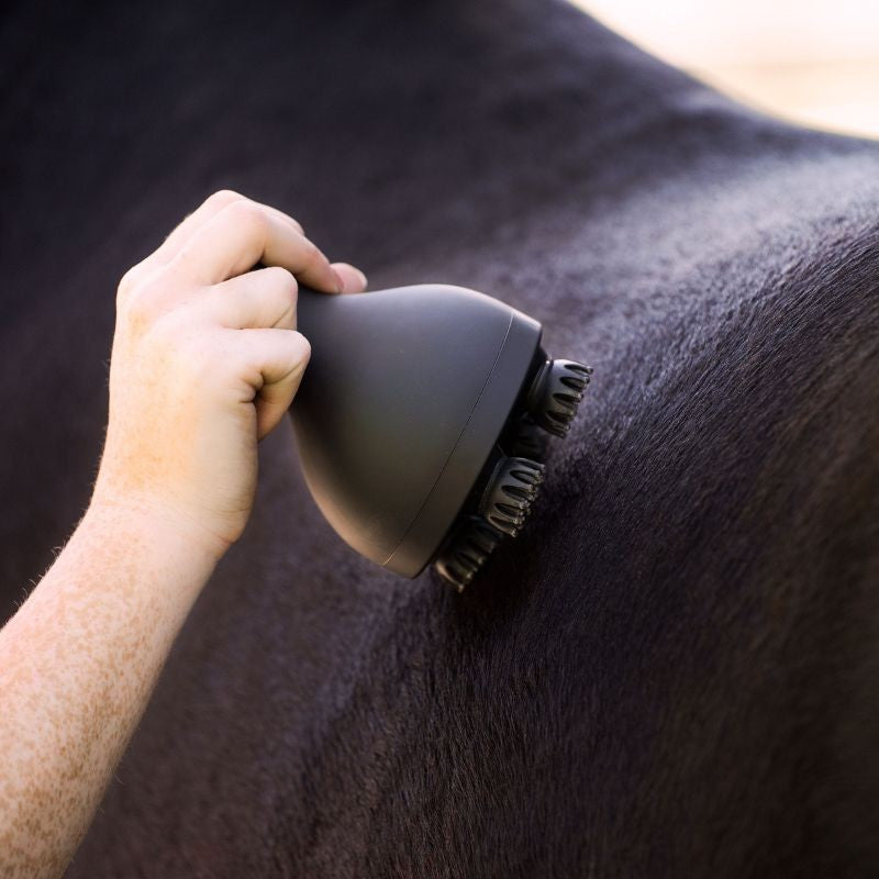 Grooming & Relaxation brosse IRHVolta Imperial Riding  99,95 €